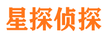 高阳侦探公司